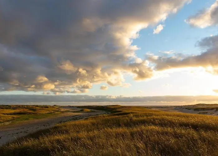 Welkimmen Appartement Nebel